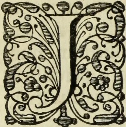 An illustration from Historica descriptio complectens vitam, ac res gestas beatissimi viri Gulielmi Wicami .., 1690, leaf 69