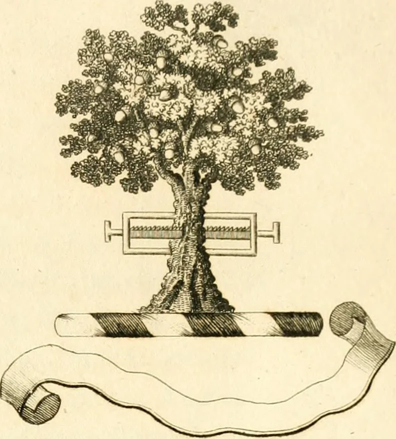 An illustration from Historical anecdotes of heraldry and chivalry : tending to shew the origin of many English and foreign coats of arms, circumstances and customs, 1795, leaf 22