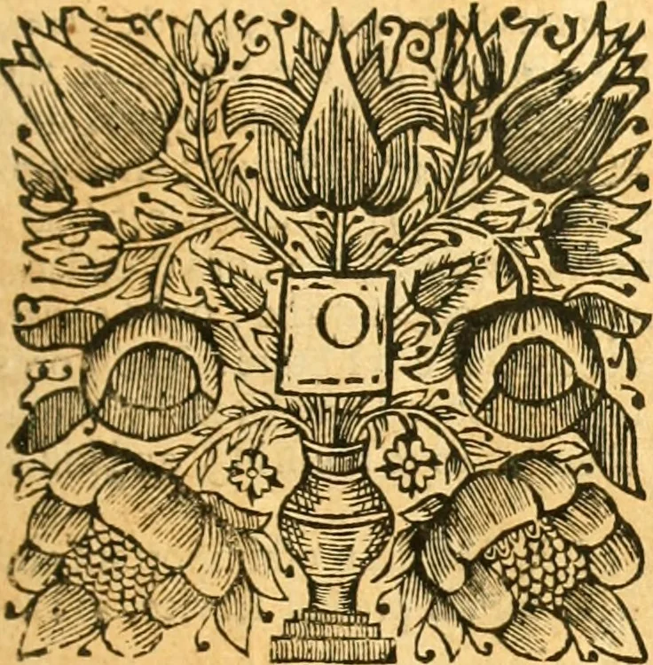 An illustration from Historical collections of private passages of state : weighty matters in law. Remarkable proceedings in five Parliaments. Beginning the sixteenth year of King James, anno 1618. And ending the fifth year of King Charls, anno 1629, 1682, leaf 202