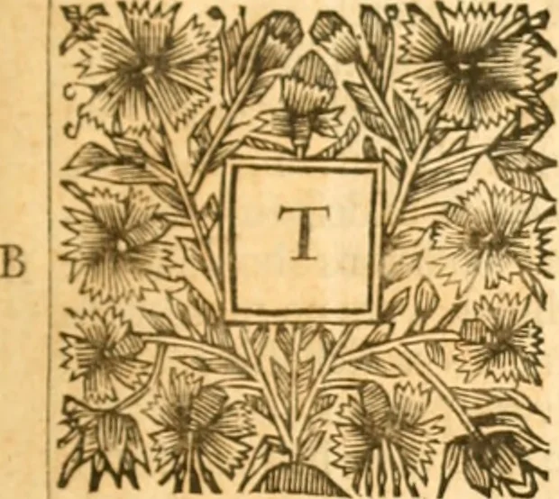 An illustration from Historical collections of private passages of state : weighty matters in law. Remarkable proceedings in five Parliaments. Beginning the sixteenth year of King James, anno 1618. And ending the fifth year of King Charls, anno 1629, 1682, leaf 36