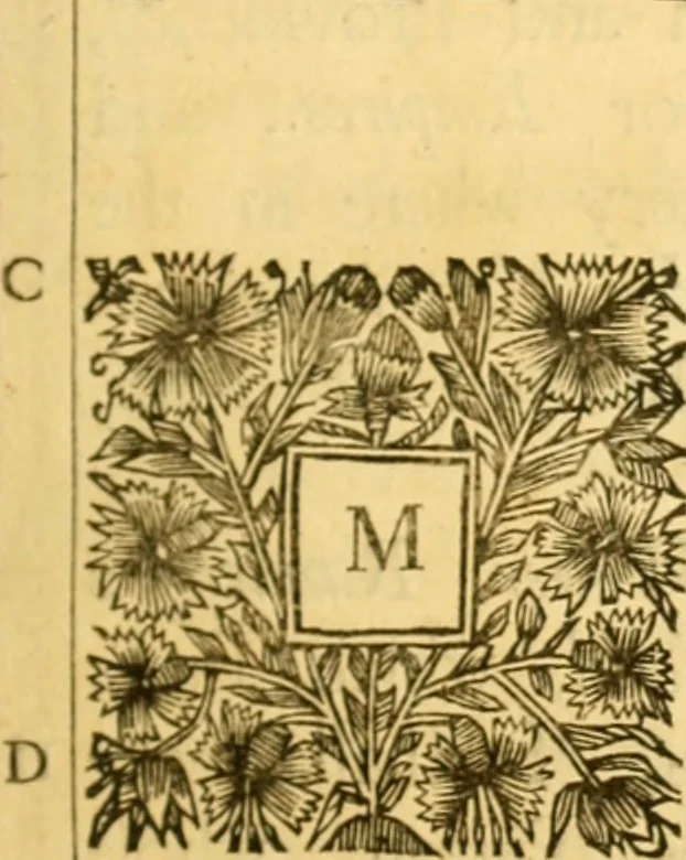 An illustration from Historical collections of private passages of state : weighty matters in law. Remarkable proceedings in five Parliaments. Beginning the sixteenth year of King James, anno 1618. And ending the fifth year of King Charls, anno 1629, 1682, leaf 8
