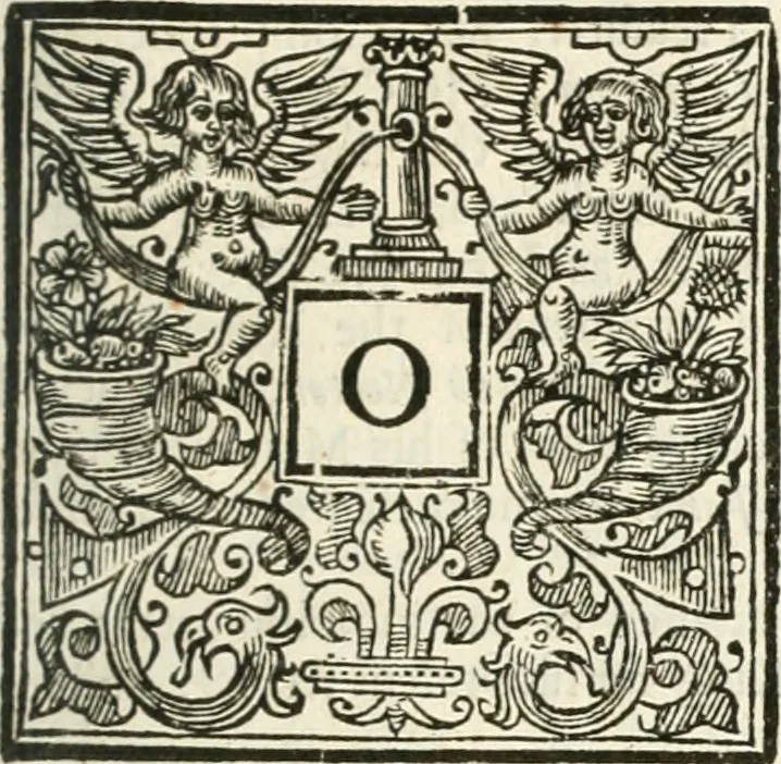 An illustration from Historical collections of private passages of state, weighty matters in law, remarkable proceedings in five parliaments : beginning the sixteenth year of King James. anno 1618, and ending the fifth year of King Charls [sic], anno 1629, 1659, leaf 184