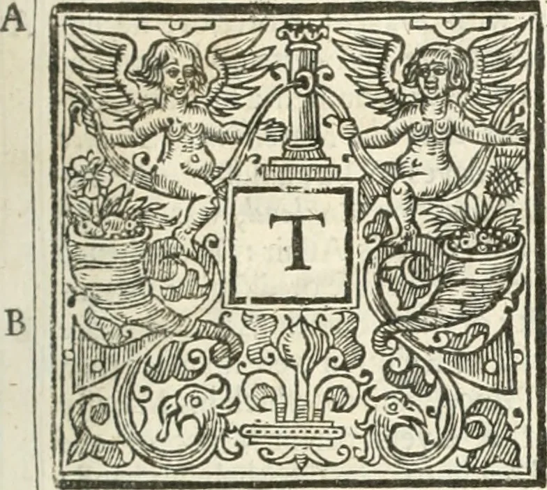 An illustration from Historical collections of private passages of state, weighty matters in law, remarkable proceedings in five parliaments : beginning the sixteenth year of King James. anno 1618, and ending the fifth year of King Charls [sic], anno 1629, 1659, leaf 20