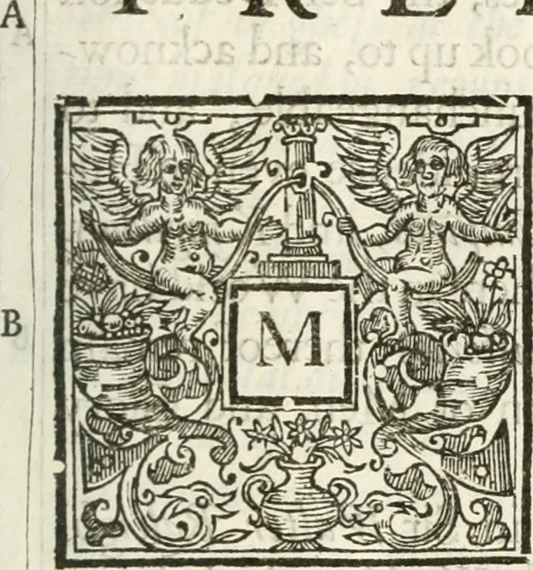 An illustration from Historical collections of private passages of state, weighty matters in law, remarkable proceedings in five parliaments : beginning the sixteenth year of King James. anno 1618, and ending the fifth year of King Charls [sic], anno 1629, 1659, leaf 8