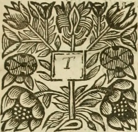An illustration from Historical collections of private passages of state, weighty matters in law, remarkable proceedings in five parliaments : beginning the sixteenth year of King James. anno 1618, and ending the fifth year of King Charls [sic], anno 1629, 1659, leaf 12