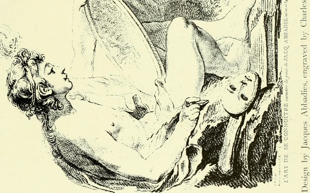 An illustration from An historical guide to French interiors, furniture, decoration, woodwork & allied arts during the last half of the seventeenth century, the whole of the eighteenth century, and the earlier part of the nineteenth, 1903, leaf 264
