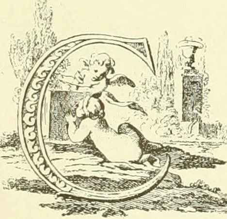 An illustration from An historical guide to French interiors, furniture, decoration, woodwork & allied arts during the last half of the seventeenth century, the whole of the eighteenth century, and the earlier part of the nineteenth, 1903, leaf 277