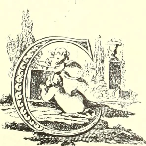 An illustration from An historical guide to French interiors, furniture, decoration, woodwork, & allied arts during the last half of the seventeenth century, the whole of the eighteenth century, and the earlier part of the nineteenth, 1900, leaf 214