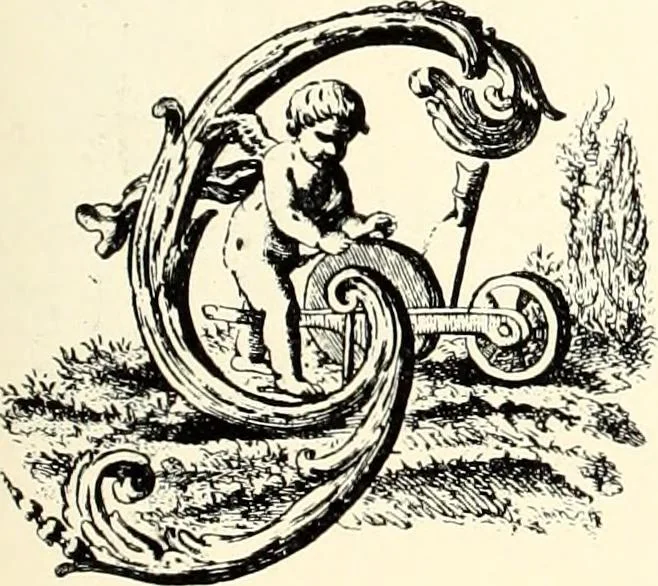 An illustration from An historical guide to French interiors, furniture, decoration, woodwork, & allied arts during the last half of the seventeenth century, the whole of the eighteenth century, and the earlier part of the nineteenth, 1900, leaf 219