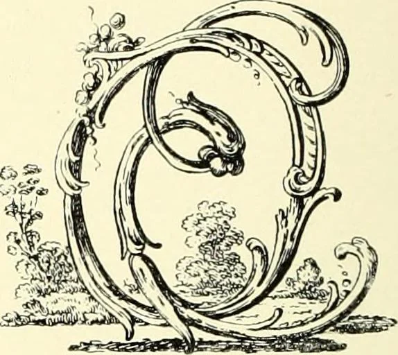An illustration from An historical guide to French interiors, furniture, decoration, woodwork, & allied arts during the last half of the seventeenth century, the whole of the eighteenth century, and the earlier part of the nineteenth, 1900, leaf 230