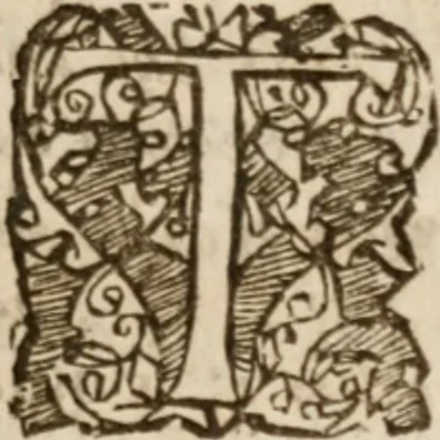 An illustration from An historicall discourse of the uniformity of the government of England .., 1647, leaf 14