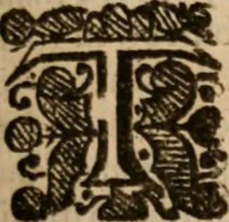 An illustration from An historicall discourse of the uniformity of the government of England .., 1647, leaf 18
