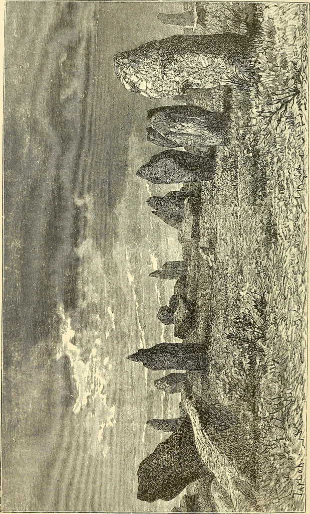 An illustration from The historical monuments of France, 1898, leaf 5