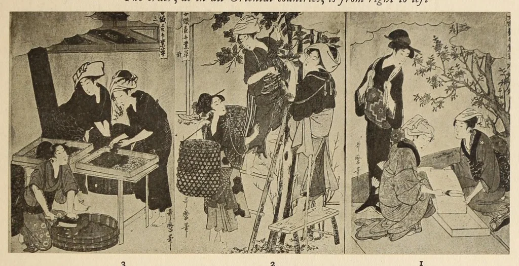 An illustration from An historical sketch of nishiki and kinran brocades; with a catalog on one hundred and twenty rare specimens dating from 1400 to 1812 A. D., 1914, leaf 11