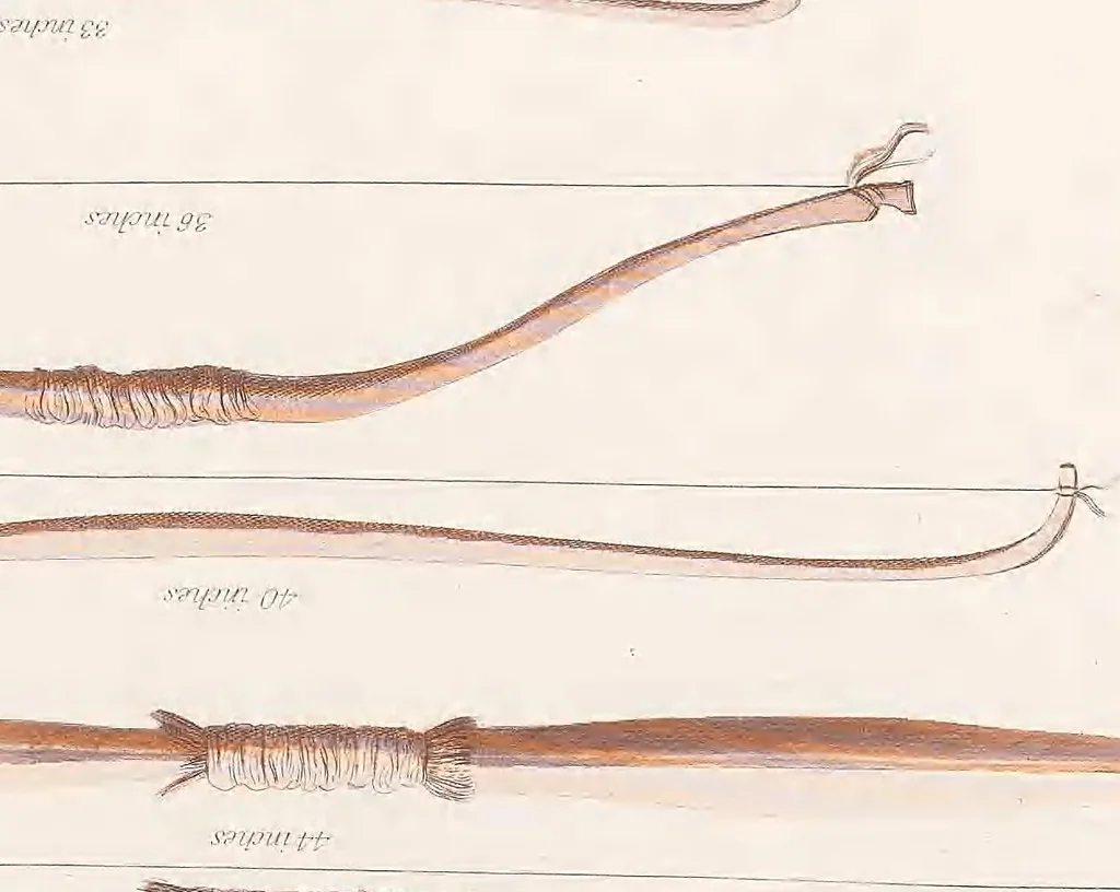 An illustration from Historical and statistical information respecting the history, condition, and prospects of the Indian tribes of the United States : collected and prepared under the direction of the Bureau of Indian Affairs per act of Congress of March 3rd, 1847, 1851, leaf 547