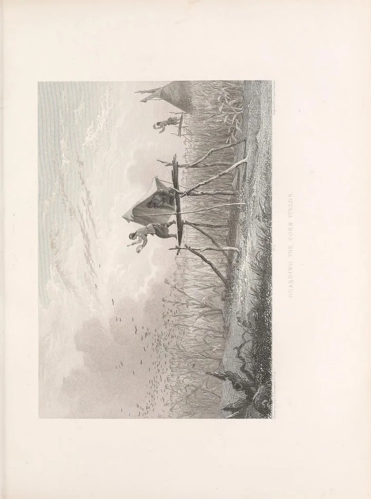 An illustration from Historical and statistical information respecting the history, condition, and prospects of the Indian tribes of the United States : collected and prepared under the direction of the Bureau of Indian Affairs per act of Congress of March 3rd, 1847, 1851, leaf 81