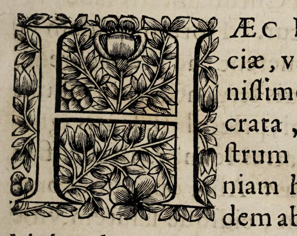 An illustration from Historiæ canadensis, seu, Novæ-Franciæ libri decem, ad annum vsque Christi MDCLVI, 1664, leaf 15