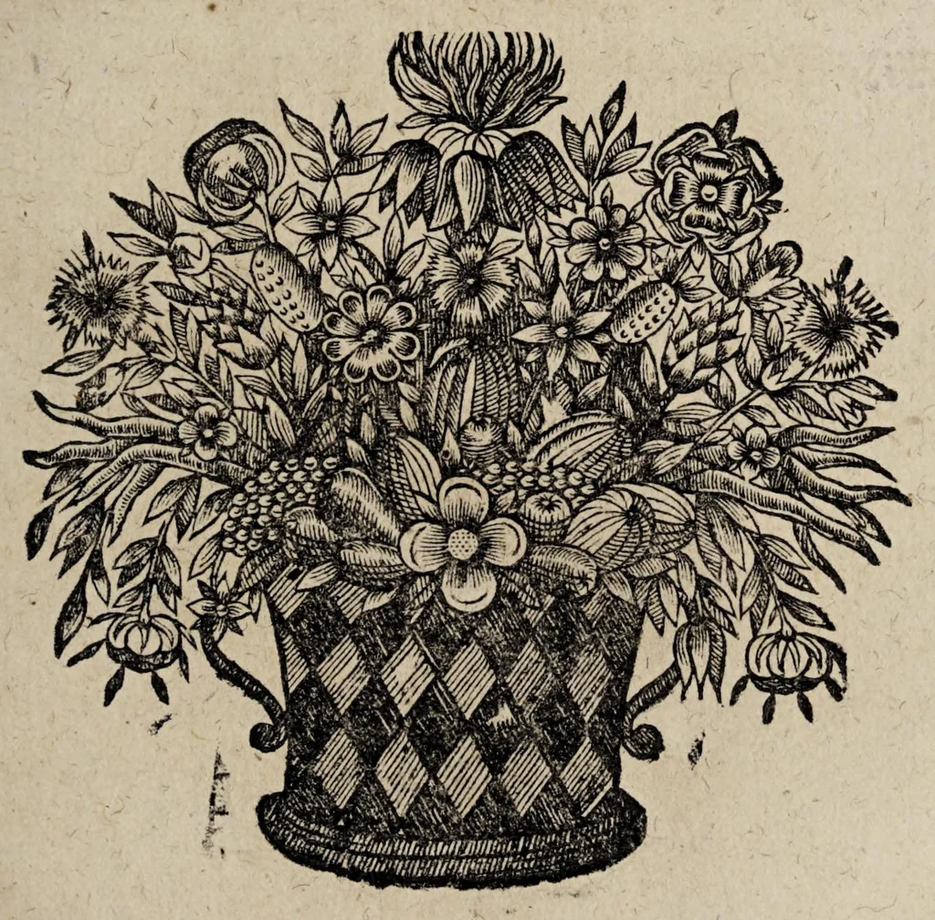 An illustration from Historiæ canadensis, seu, Novæ-Franciæ libri decem, ad annum vsque Christi MDCLVI, 1664, leaf 33