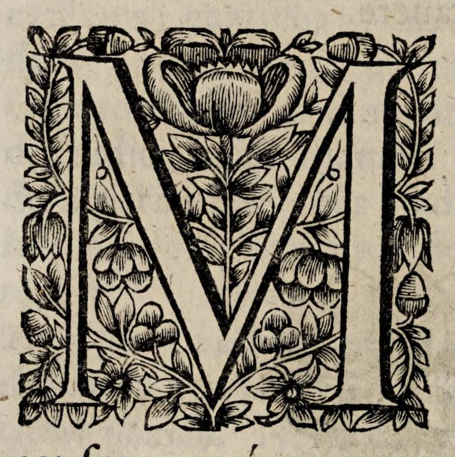 An illustration from Historiæ canadensis, seu, Novæ-Franciæ libri decem, ad annum vsque Christi MDCLVI, 1664, leaf 722