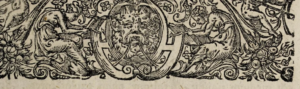 An illustration from Historiæ canadensis, seu, Novæ-Franciæ libri decem, ad annum vsque Christi MDCLVI, 1664, leaf 793