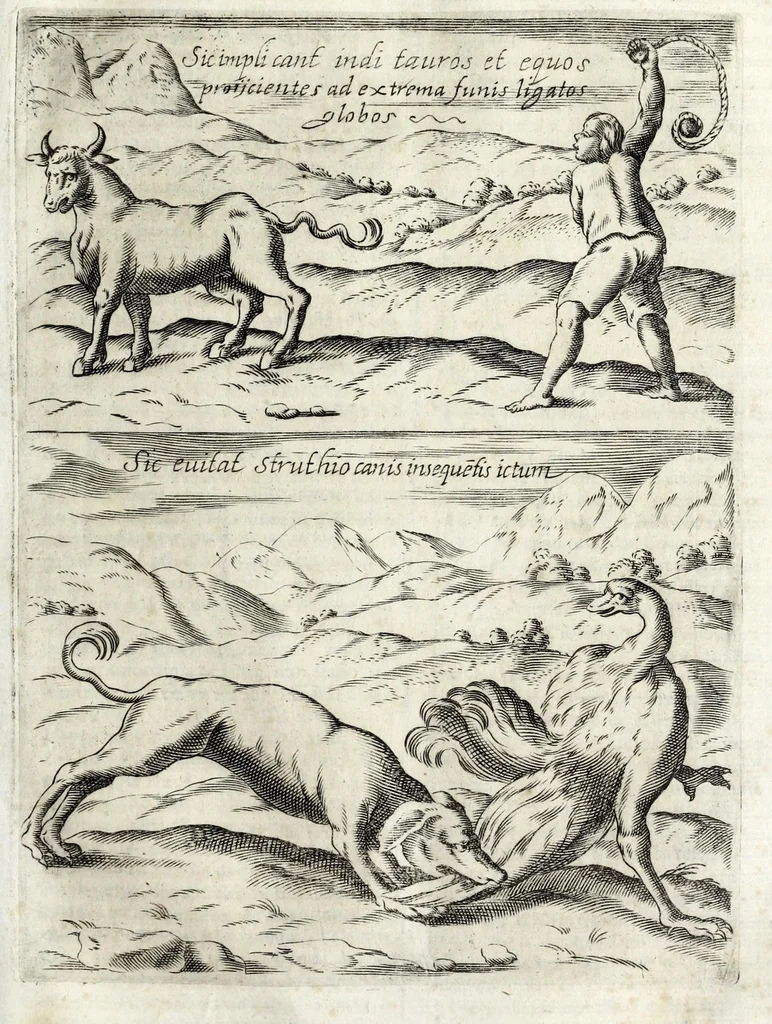 An illustration from Historica relatione del regno di Cile : e delle missioni e ministerij che esercita in quelle la Compagnia di Giesu, 1646, leaf 129