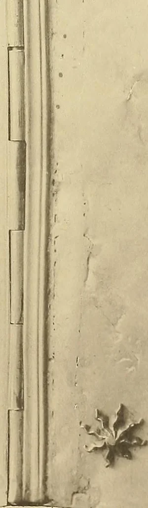An illustration from Historic bindings in the Bodleian Library, Oxford : with reproductions of twenty-four of the finest bindings, 1891, leaf 66