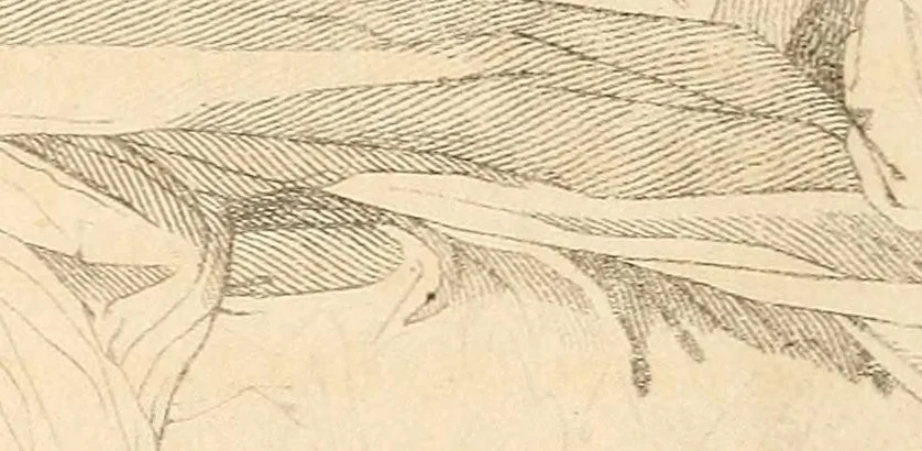 An illustration from The historic gallery of portraits and paintings; or, Biographical review:, 1807, leaf 222