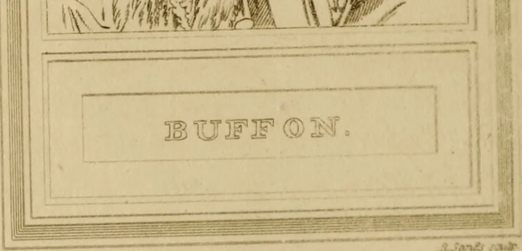 An illustration from The historic gallery of portraits and paintings; or, Biographical review:, 1807, leaf 25