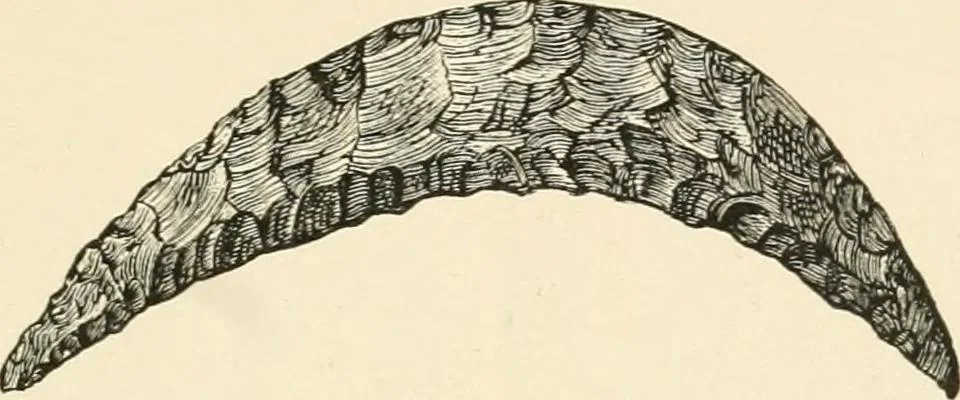 An illustration from Historic ornament : treatise on decorative art and architectural ornament, 1909, leaf 38