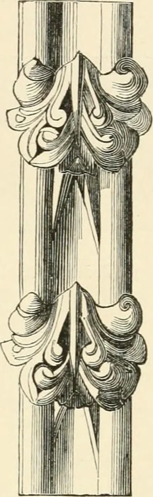 An illustration from Historic ornament : treatise on decorative art and architectural ornament, 1909, leaf 380
