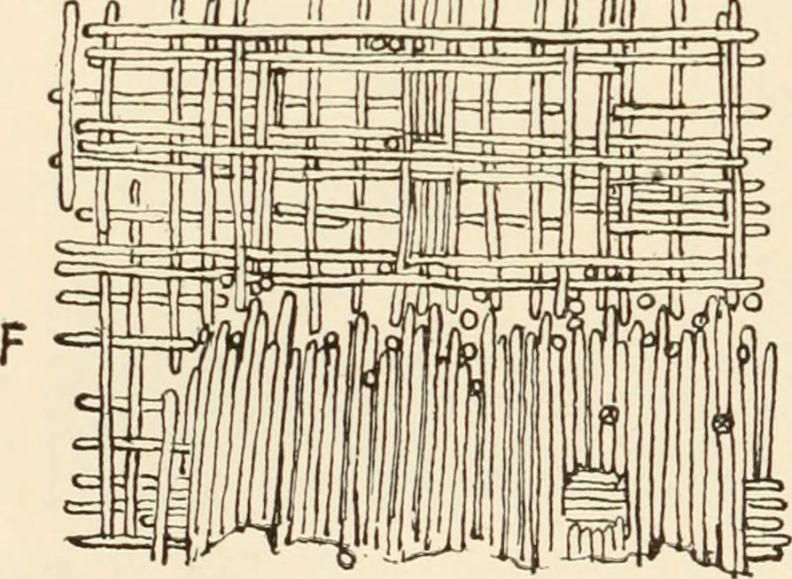 An illustration from Historic ornament : treatise on decorative art and architectural ornament, 1909, leaf 71