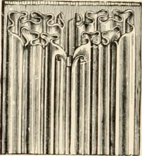An illustration from Historic ornament : treatise on decorative art and architectural ornament, 1897, leaf 271