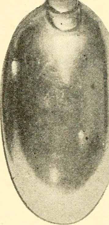 An illustration from Historic silver of the Colonies and its makers, 1917, leaf 301