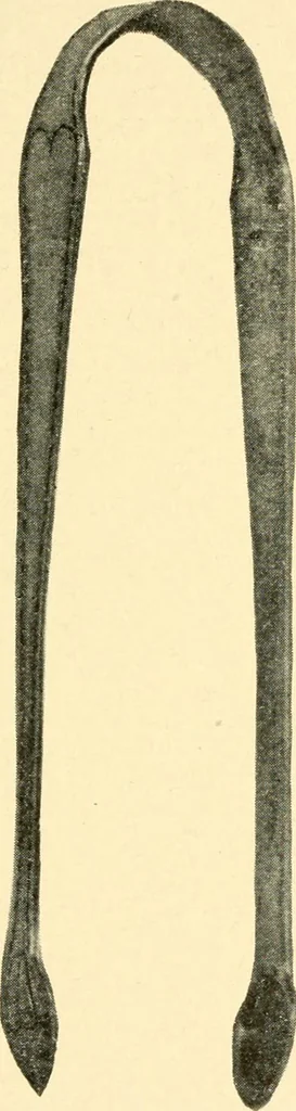 An illustration from Historic silver of the Colonies and its makers, 1917, leaf 438