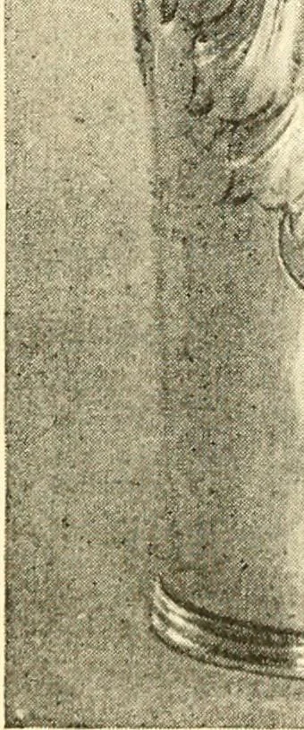 An illustration from Historic silver of the Colonies and its makers, 1917, leaf 95