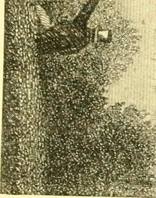 An illustration from Historic Virginia homes and churches, 1915, leaf 178