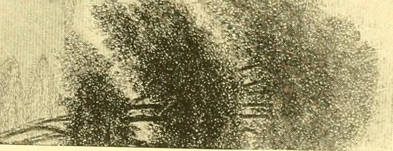 An illustration from Historic Virginia homes and churches, 1915, leaf 178