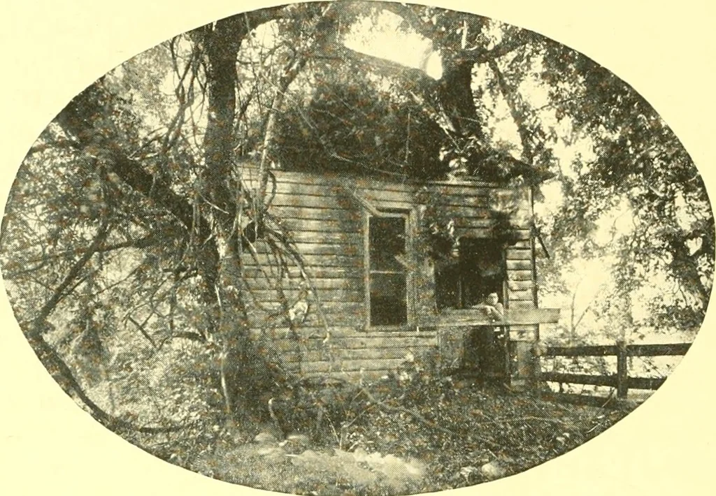 An illustration from Historic Virginia homes and churches, 1915, leaf 199