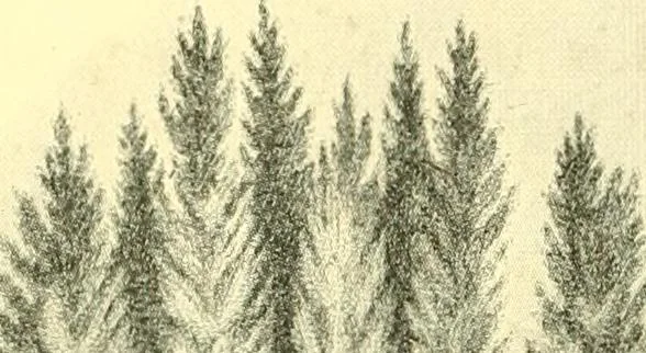 An illustration from Historic Virginia homes and churches, 1915, leaf 375