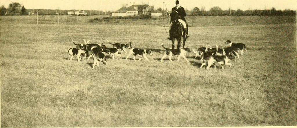 An illustration from Historic Virginia homes and churches, 1915, leaf 424
