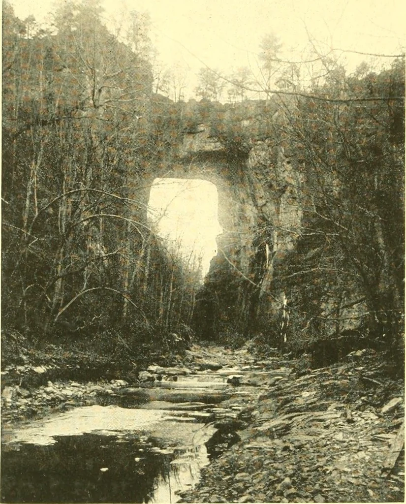 An illustration from Historic Virginia homes and churches, 1915, leaf 489