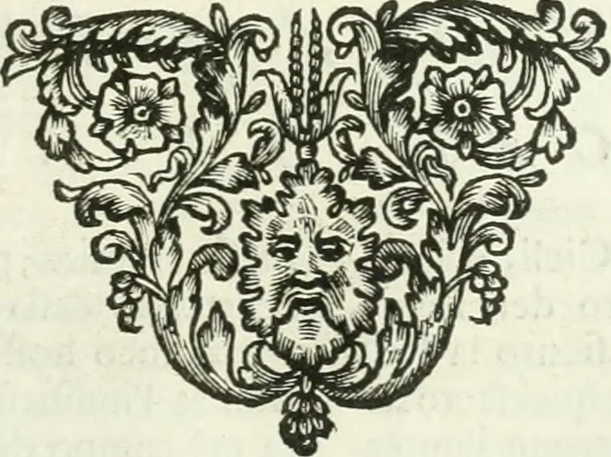 An illustration from Historie cronologiche dell' origine degl' ordini militari e di tutte le religione caualleresche infino ad hora instituite nel mondo : insegne, croci, stendardi, habiti capitolari ò di ceremonia, statuti, e constituzioni di cadaun'ordine : guerre campali e nauali, azioni, fatti celebri, & imprese de caualieri; confederazioni, trattati, paci, & auuenimenti per difesa del Nome Christiano, e propagazione della fede cattolica : serie di tutti i prencipi gran maestri, ordini di dame, e degl' infedeli &c. con le loro diuise, 1692, leaf 284