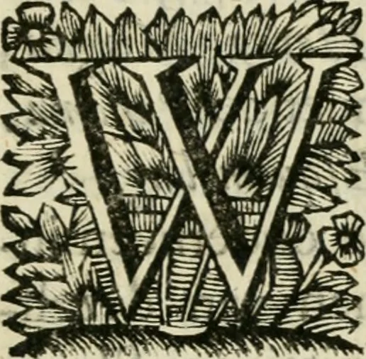 An illustration from Historie der boecaniers, of vrybuyters van America : van haar eerste beginzelen tot deze tegenwoordige tyd toe : met figuuren., 1700, leaf 10