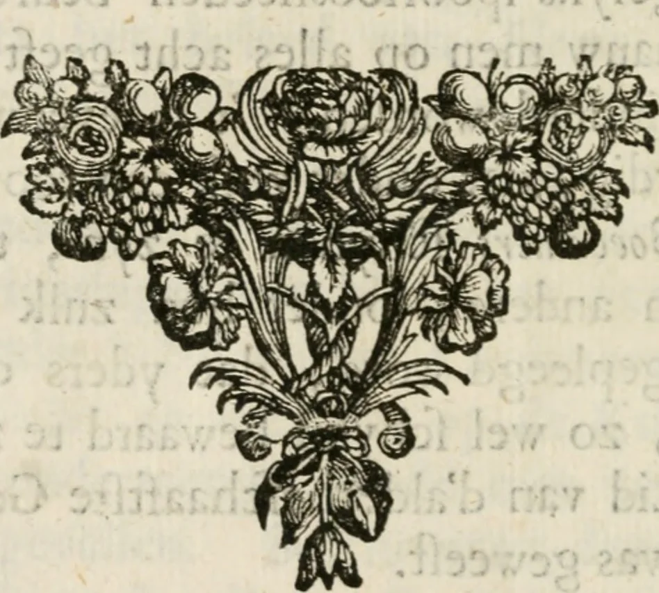 An illustration from Historie der boecaniers, of vrybuyters van America : van haar eerste beginzelen tot deze tegenwoordige tyd toe : met figuuren., 1700, leaf 13