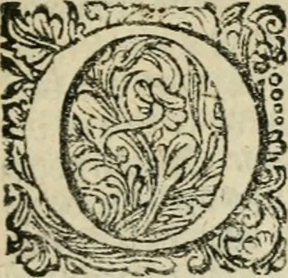 An illustration from Historie der boecaniers, of vrybuyters van America : van haar eerste beginzelen tot deze tegenwoordige tyd toe : met figuuren., 1700, leaf 16