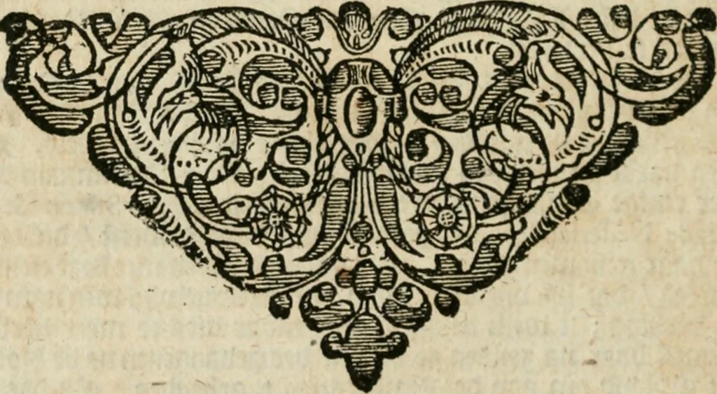 An illustration from Historie der boecaniers, of vrybuyters van America : van haar eerste beginzelen tot deze tegenwoordige tyd toe : met figuuren., 1700, leaf 165