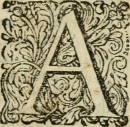 An illustration from Historie der boecaniers, of vrybuyters van America : van haar eerste beginzelen tot deze tegenwoordige tyd toe : met figuuren., 1700, leaf 166