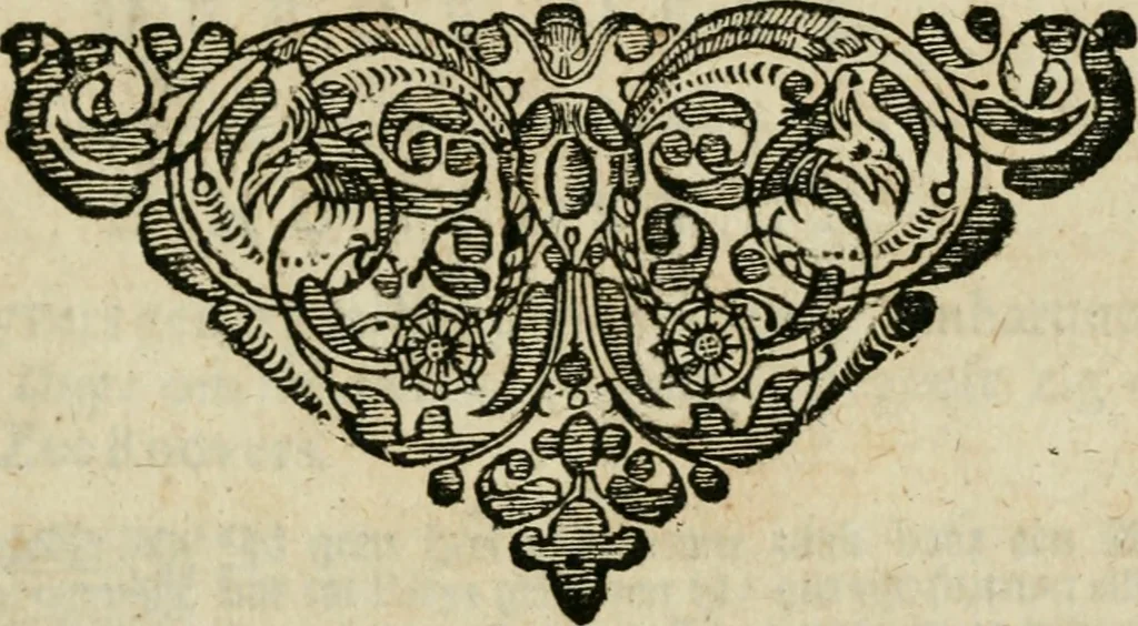 An illustration from Historie der boecaniers, of vrybuyters van America : van haar eerste beginzelen tot deze tegenwoordige tyd toe : met figuuren., 1700, leaf 242