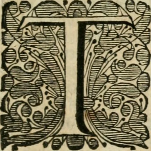 An illustration from Historie der boecaniers, of vrybuyters van America : van haar eerste beginzelen tot deze tegenwoordige tyd toe : met figuuren., 1700, leaf 244