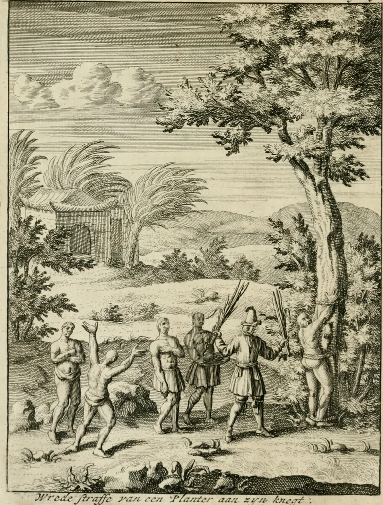 An illustration from Historie der boecaniers, of vrybuyters van America : van haar eerste beginzelen tot deze tegenwoordige tyd toe : met figuuren., 1700, leaf 45
